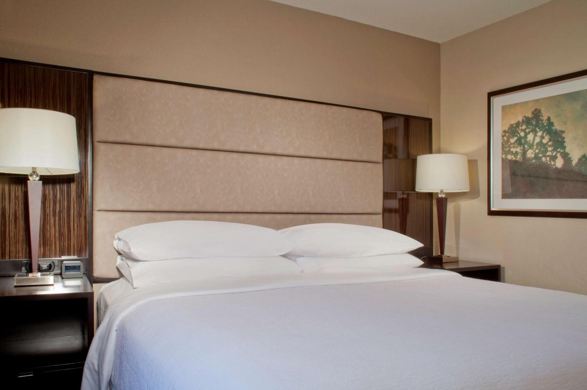 Embassy Suites By Hilton Houston Near The Galleria Екстериор снимка